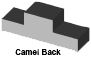 5_5_B-camel-back.png