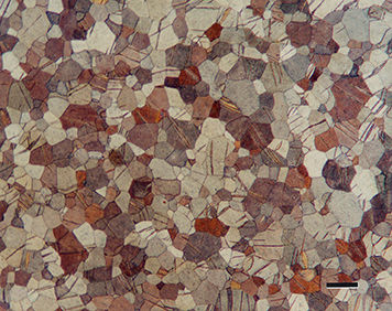 CPTiF67AnnWeck200X.JPG