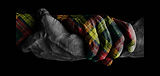 hands_header_edited.jpg